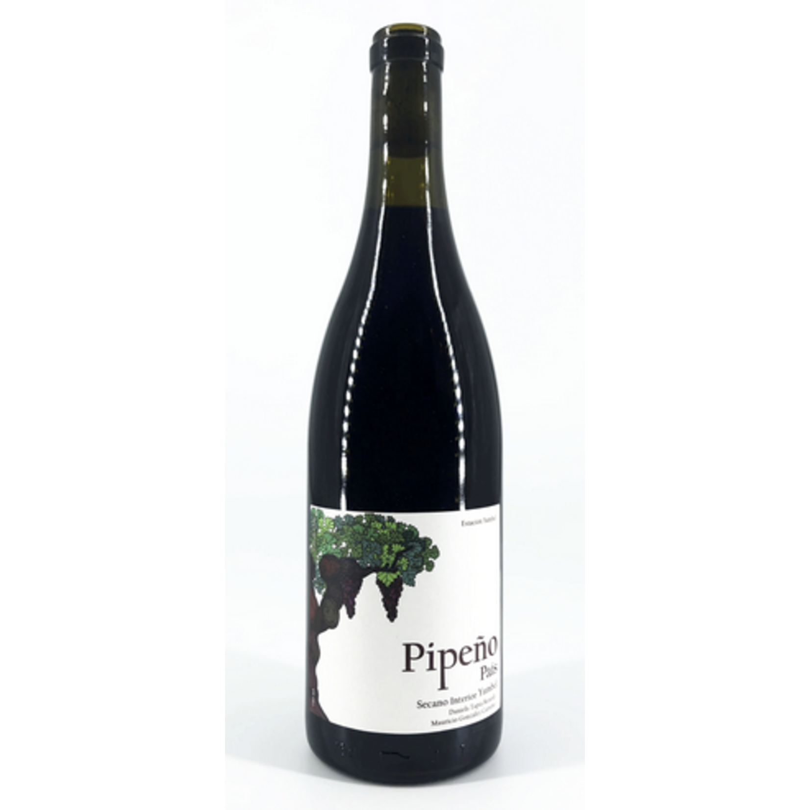 2020, PIPENO by Estacion Yumbel, Pais, Yumbel, Bio Bio, Chile, 11.9% Alc, CTnr