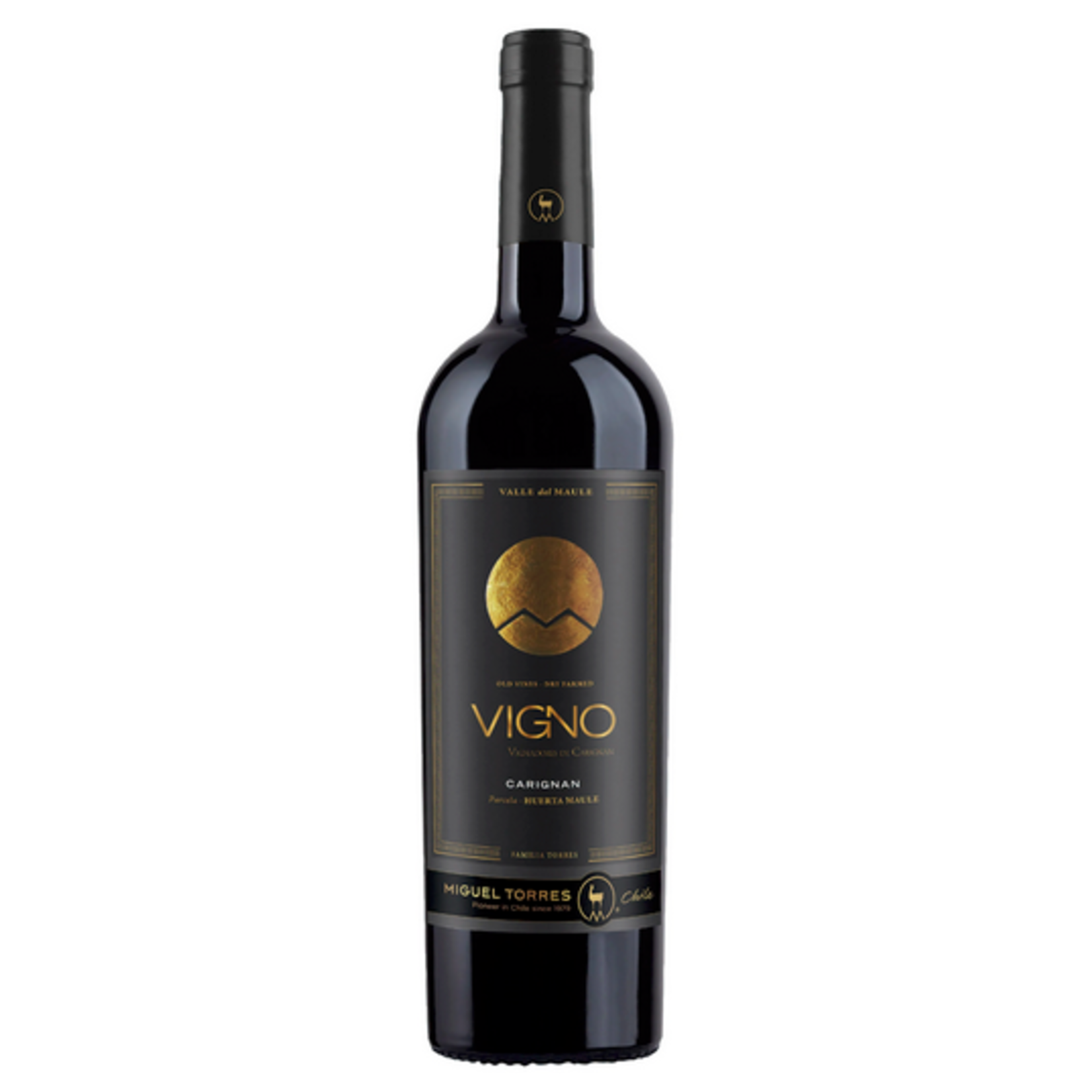 2019, Miguel Torres Vigno Dry Farmed Old Vine, Carignan, Maule Valley, Central Valley, Chile, 14% Alc, TW93, T3,Sw2,Sm2,C4,I4