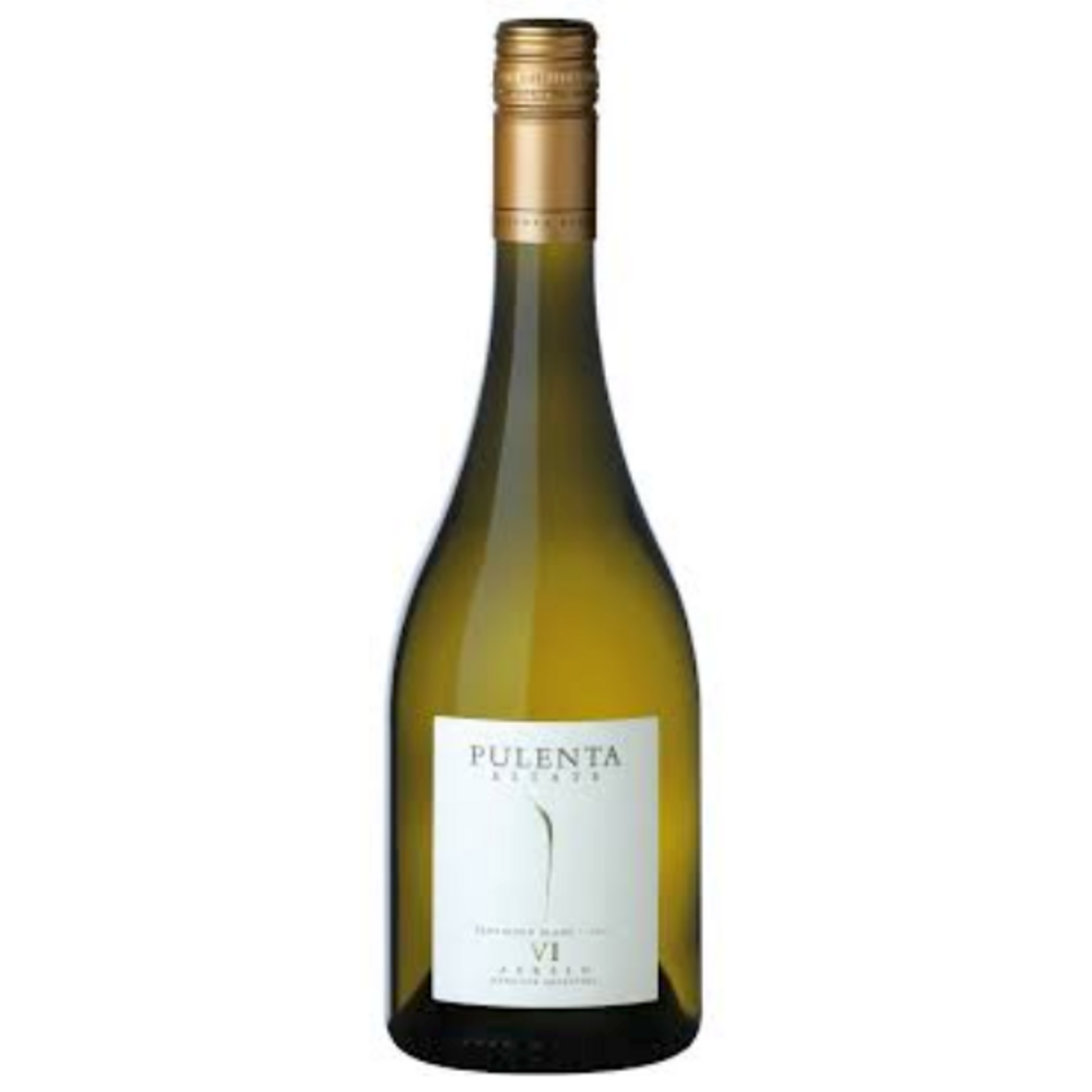 2021, Pulenta Estate Sauvignon Blanc, Sauvignon Blanc, Lujan de Cuzo, Mendoza, Argentina, 12% Alc. , CTnr