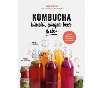 Kombucha, kimchi, ginger beer & Cie - Marie Senterre