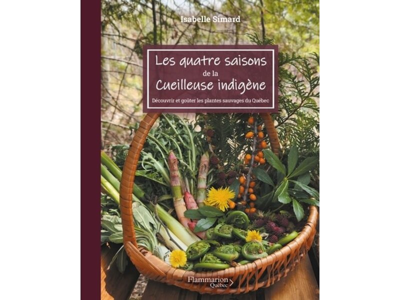Flammarion Québec Les quatre saisons de la cueilleuse indigène - Isabelle Simard