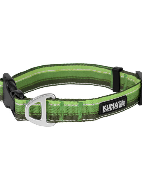 Kuma dog collar green/lime Small