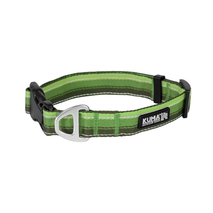 Kuma dog collar green/lime Small
