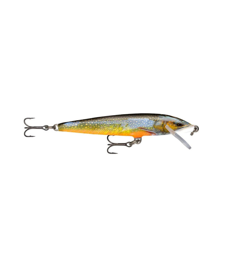 Rapala original floating 09 brook trout