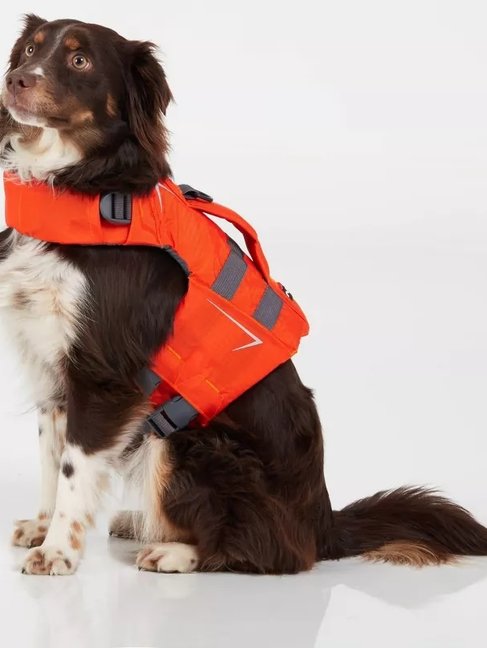 NRS canine flotation device