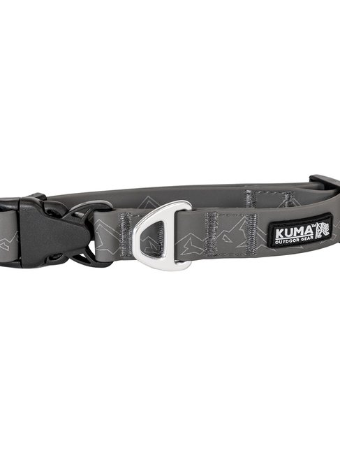 Kuma soggy dog collar