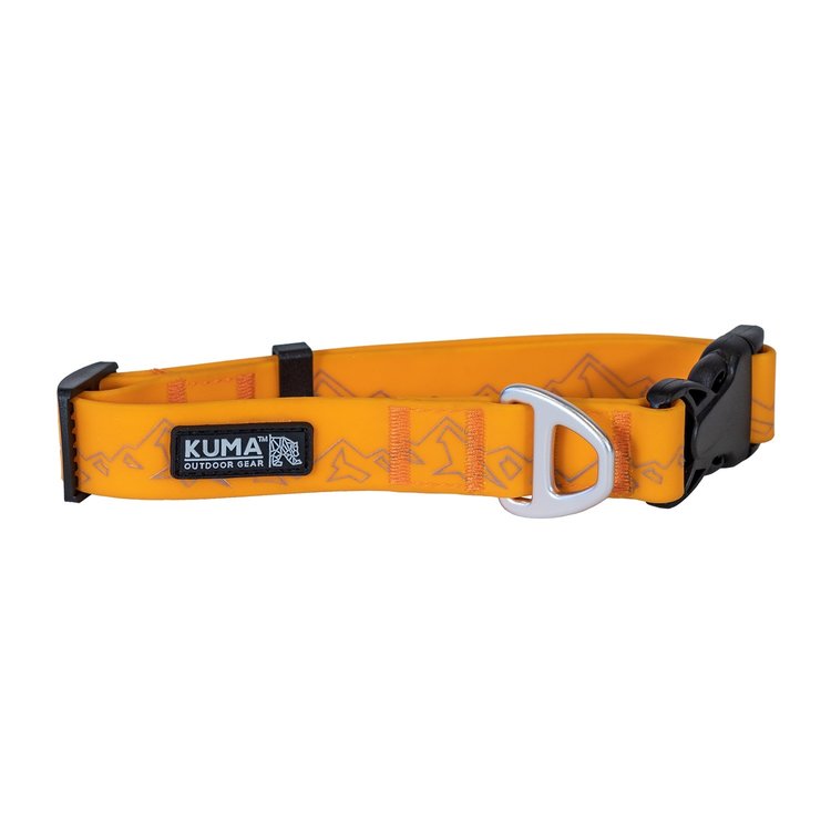 Kuma soggy dog collar