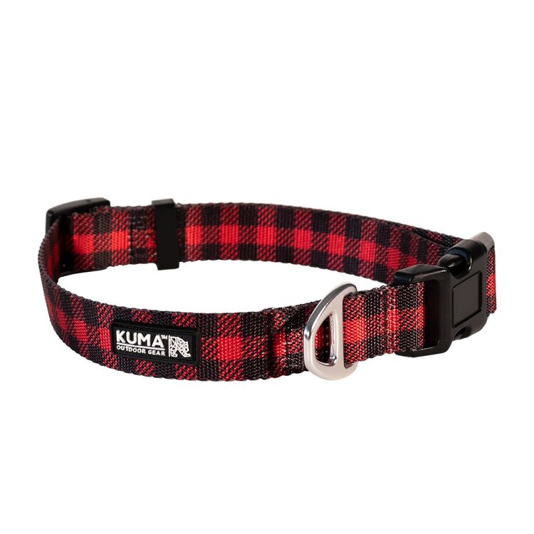 Kuma Lazy Bear Dog Collar