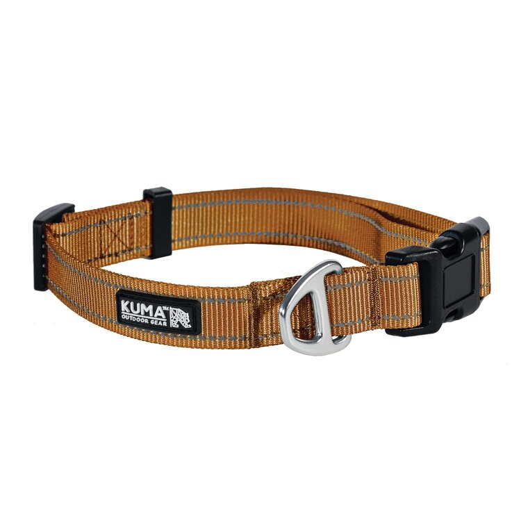 Kuma Lazy Bear Dog Collar