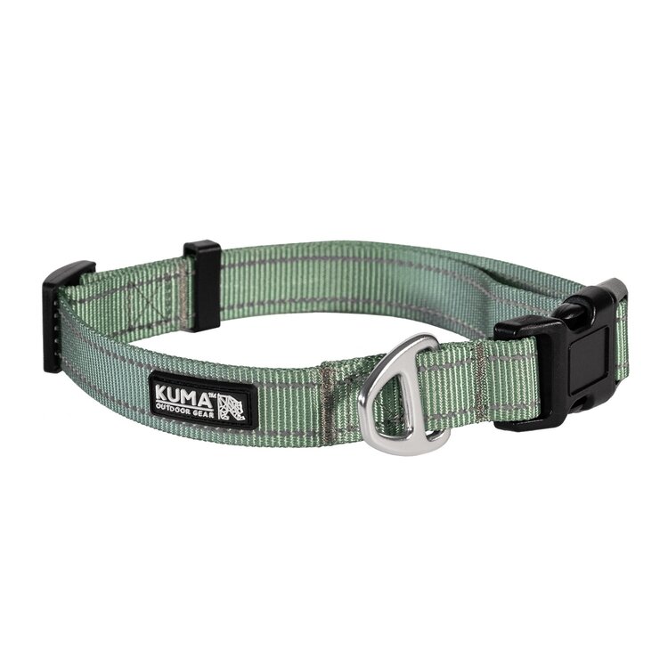 Kuma Lazy Bear Dog Collar