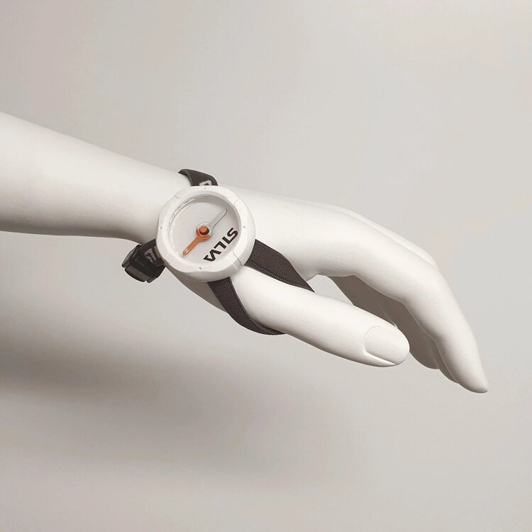 Silva Begin 2 Compass