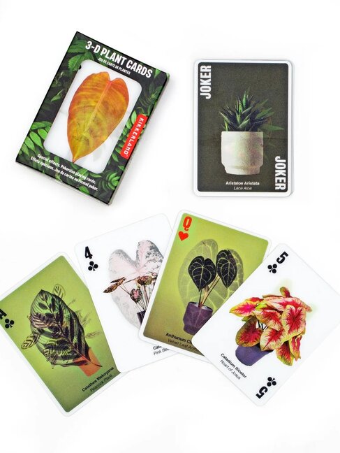 KIKKERLAND 3D Plant Cards