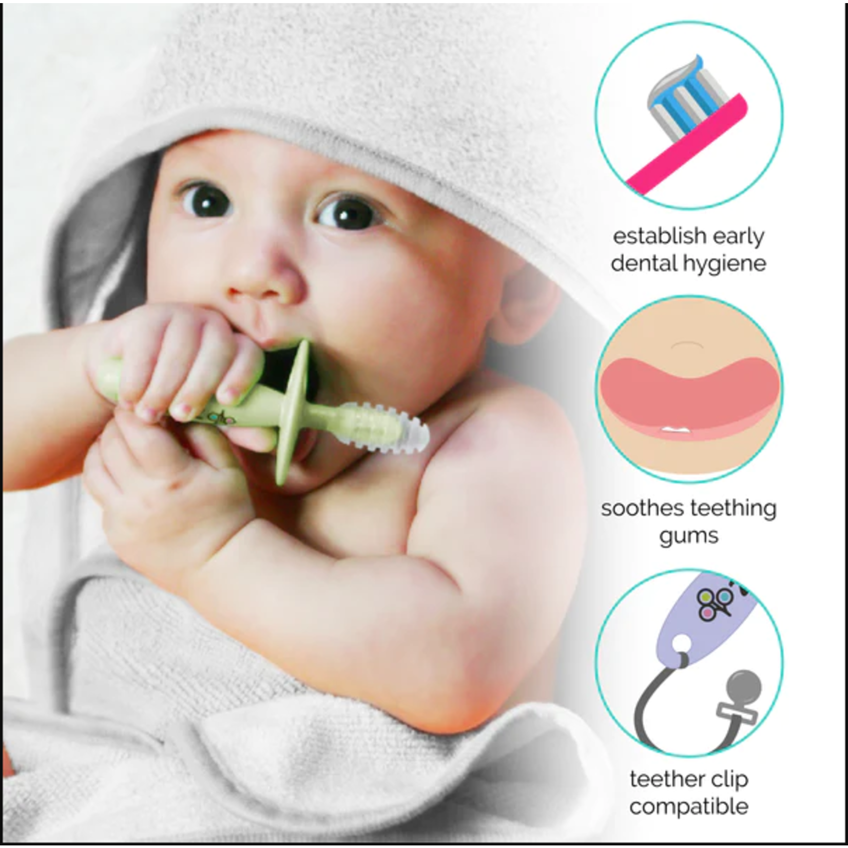 ZOLI CHUBBY GUMMY TEETHER 2 PACK