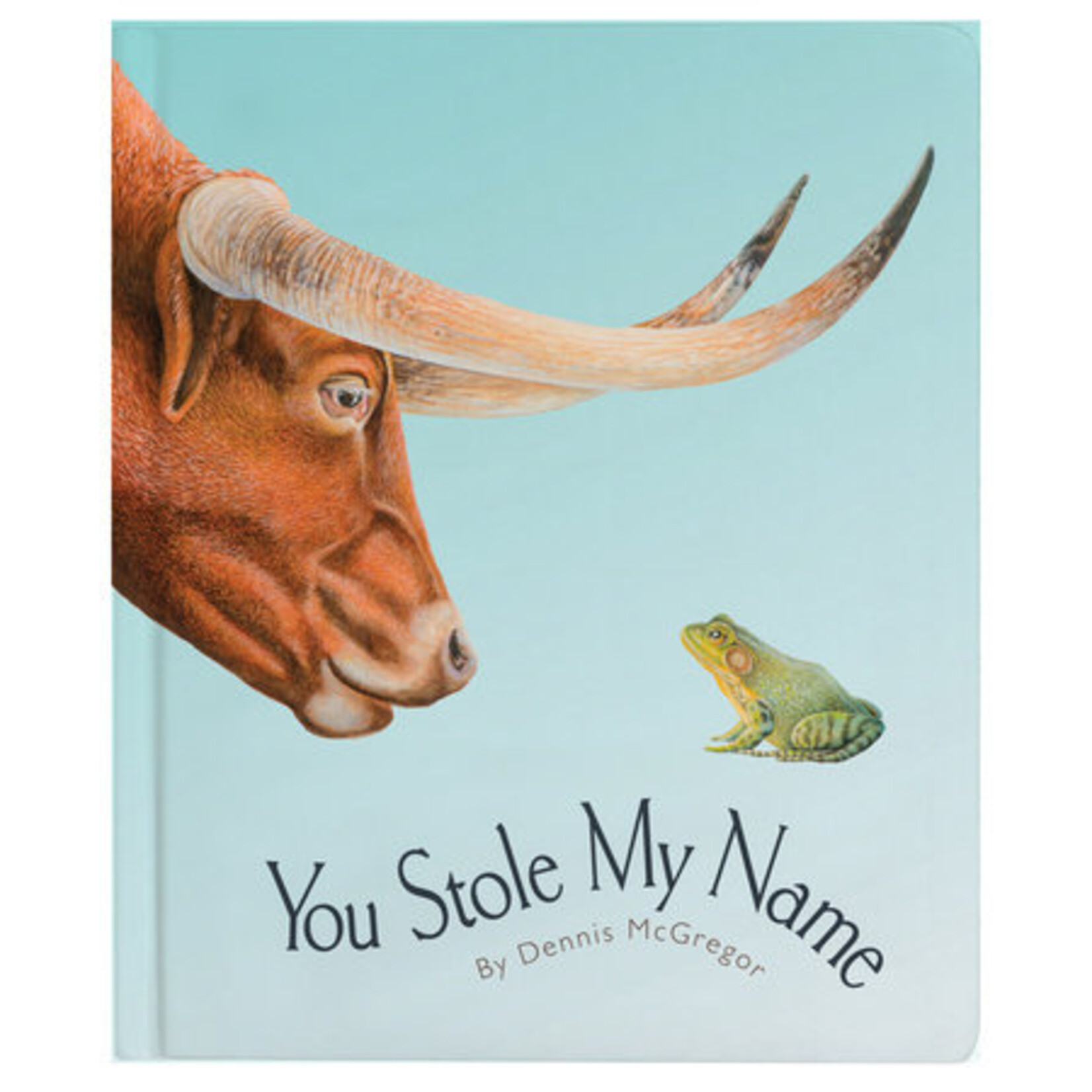 BLUESTAR PRESS YOU STOLE MY NAME - DENNIS MCGREGOR