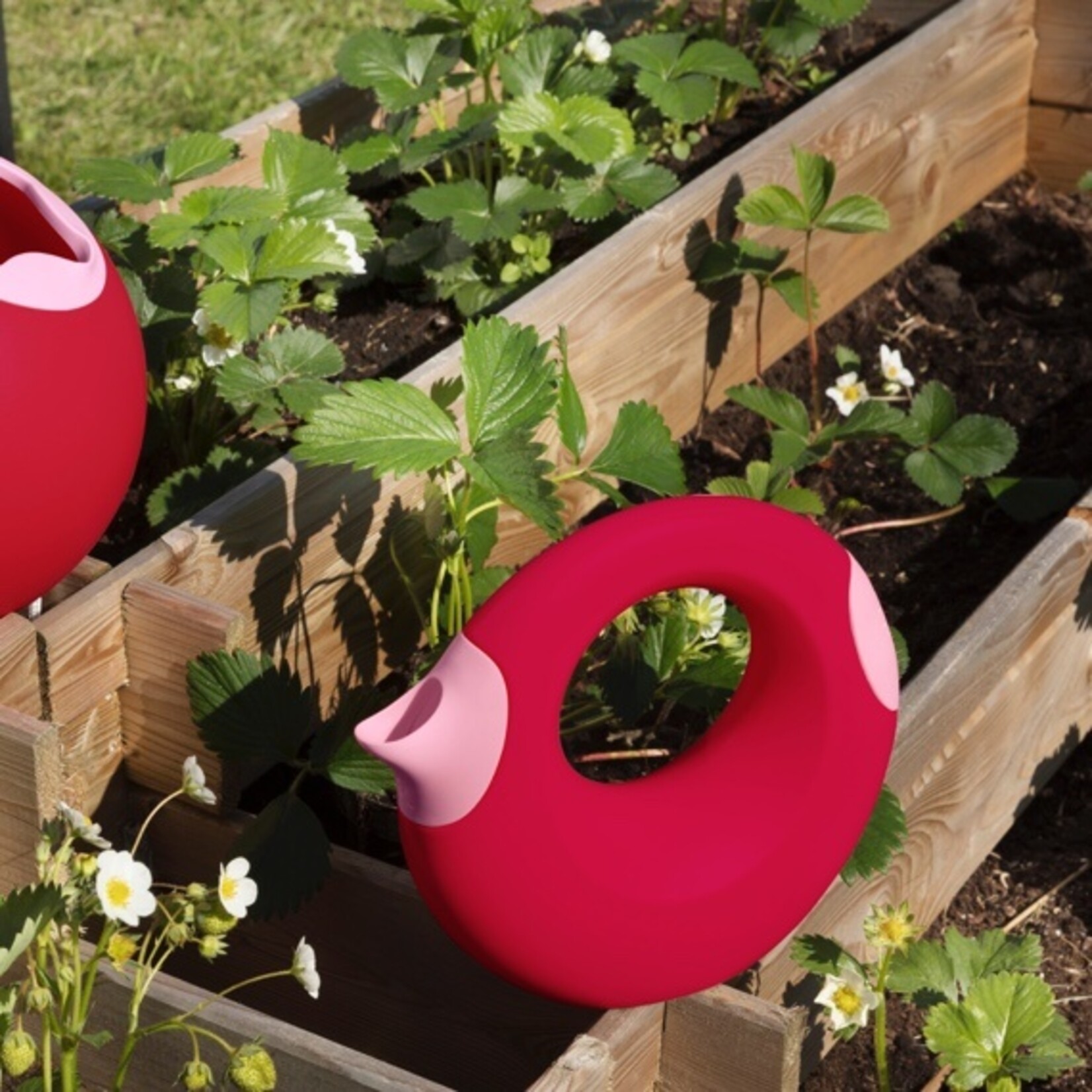 QUUT QUUT CANA WATERING CAN 1L - CHERRY