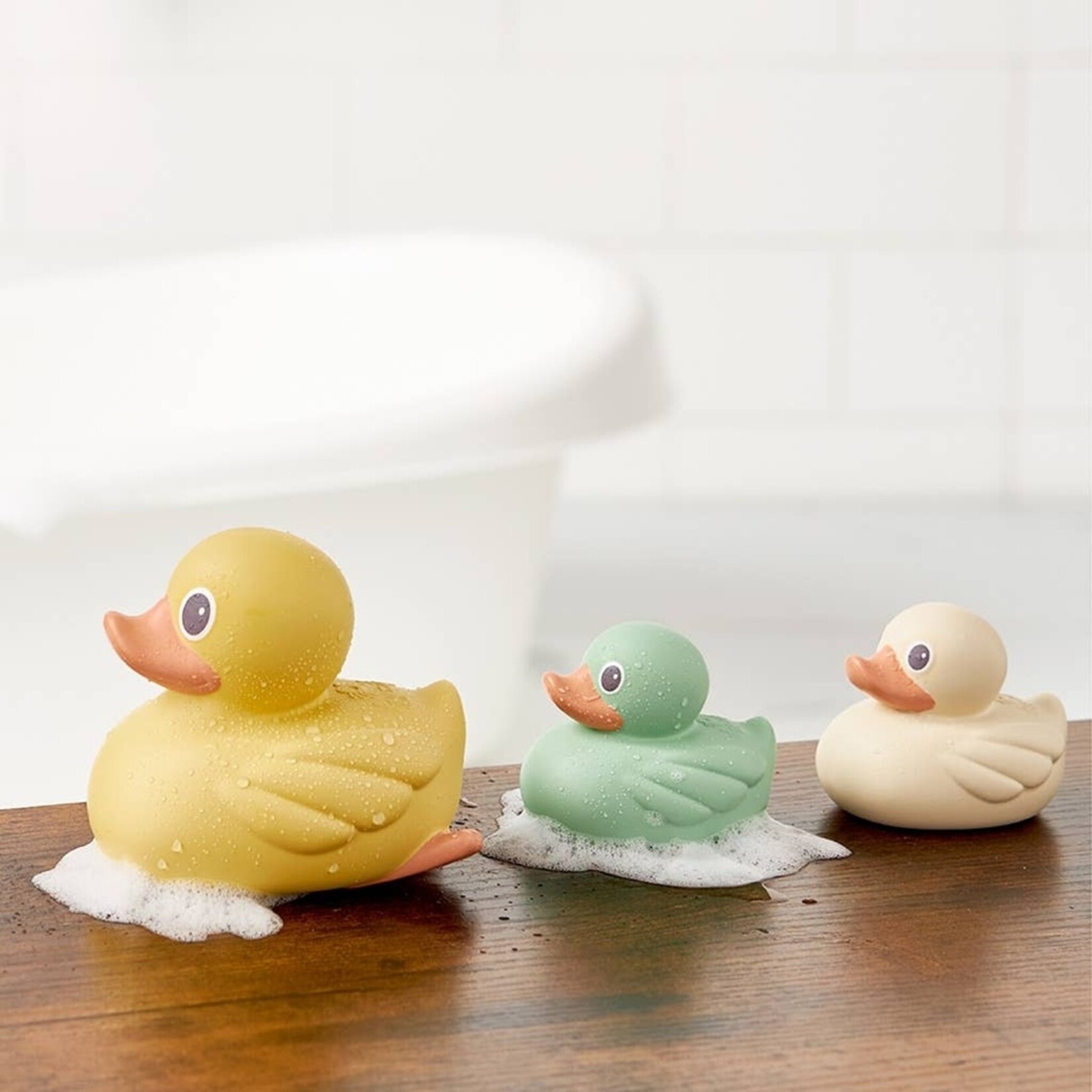 ITZY RITZY ITZY DUCKY FAMILY