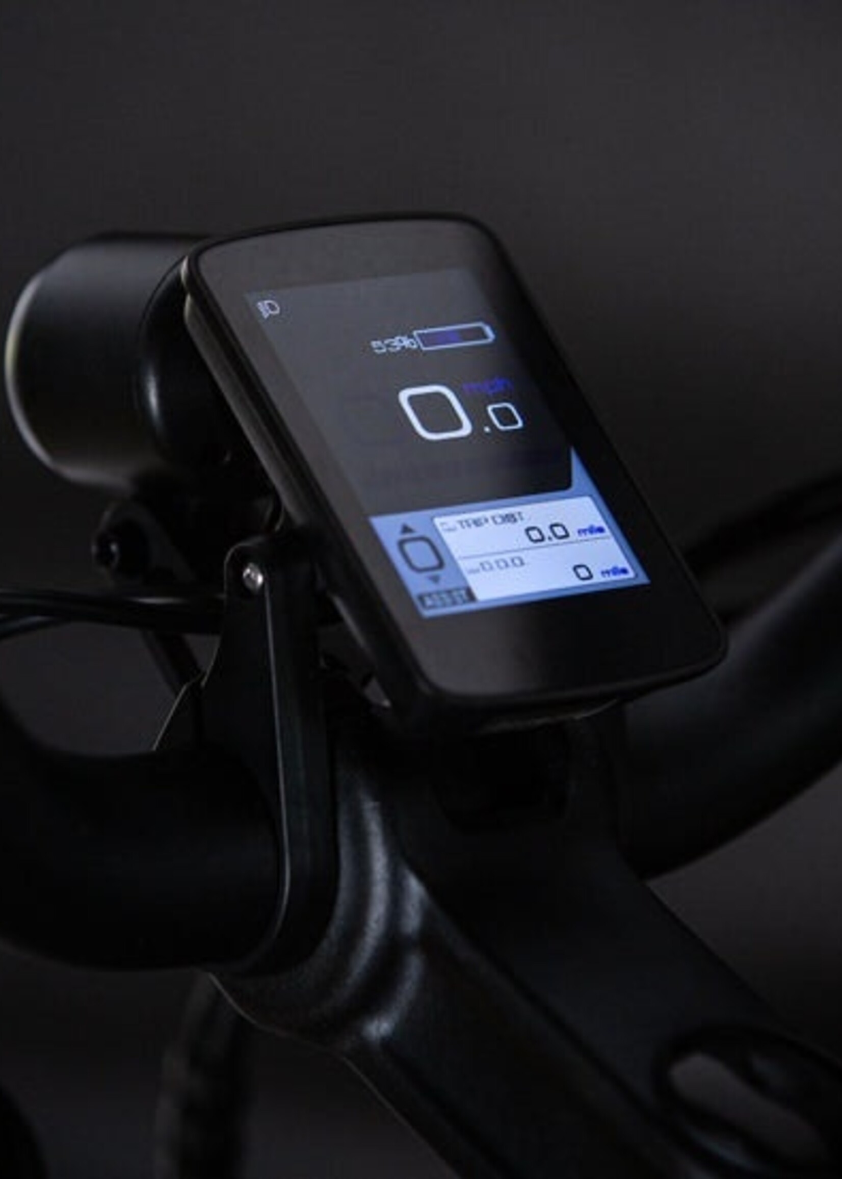 Aventon Aventure Ebike Camo Green Medium