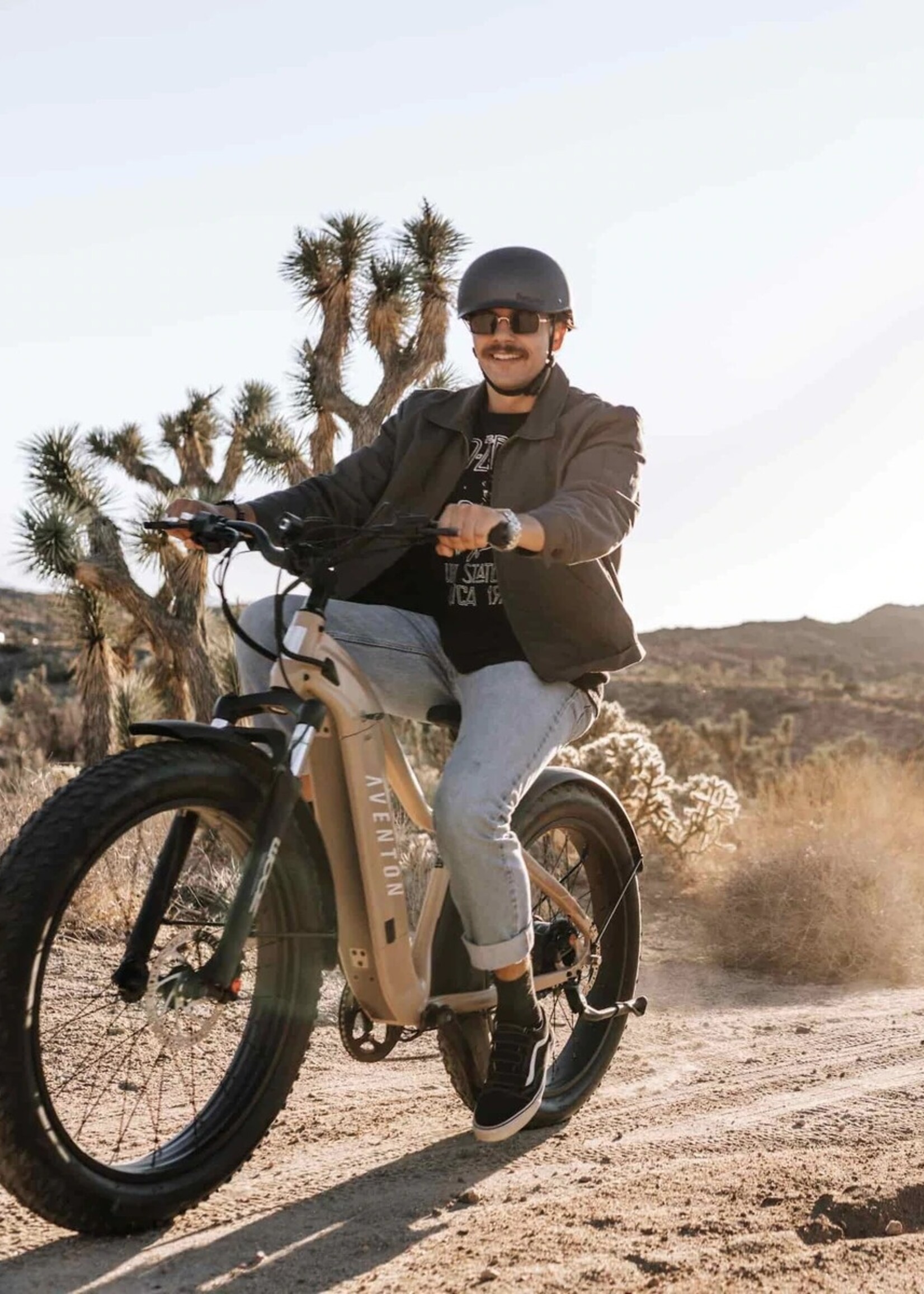 Aventon Aventure Ebike SoCal Sand Small