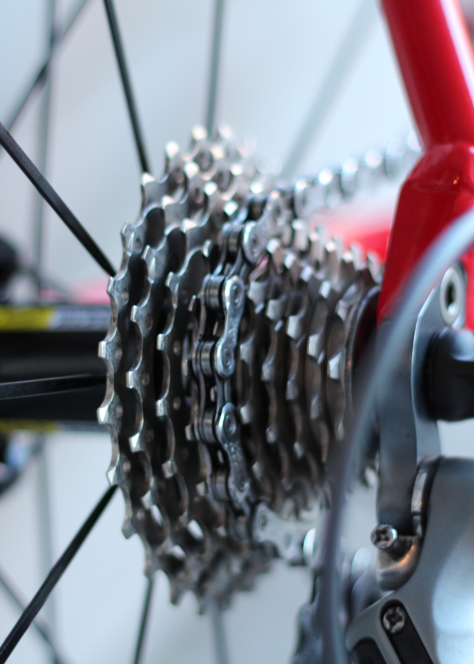Mountain Bike PRO TUNE-UP