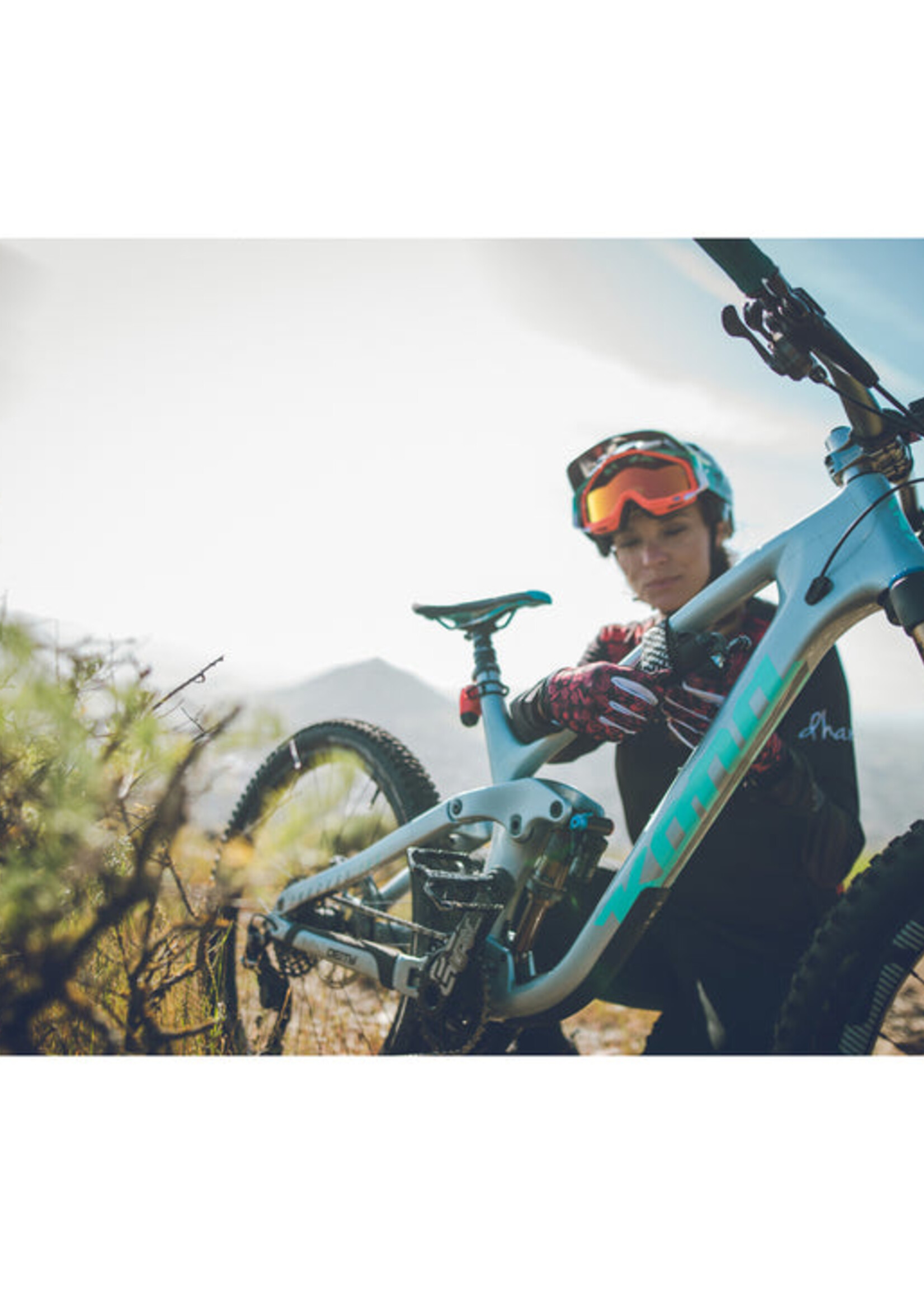 Lezyne SEND-IT CADDY LOADED