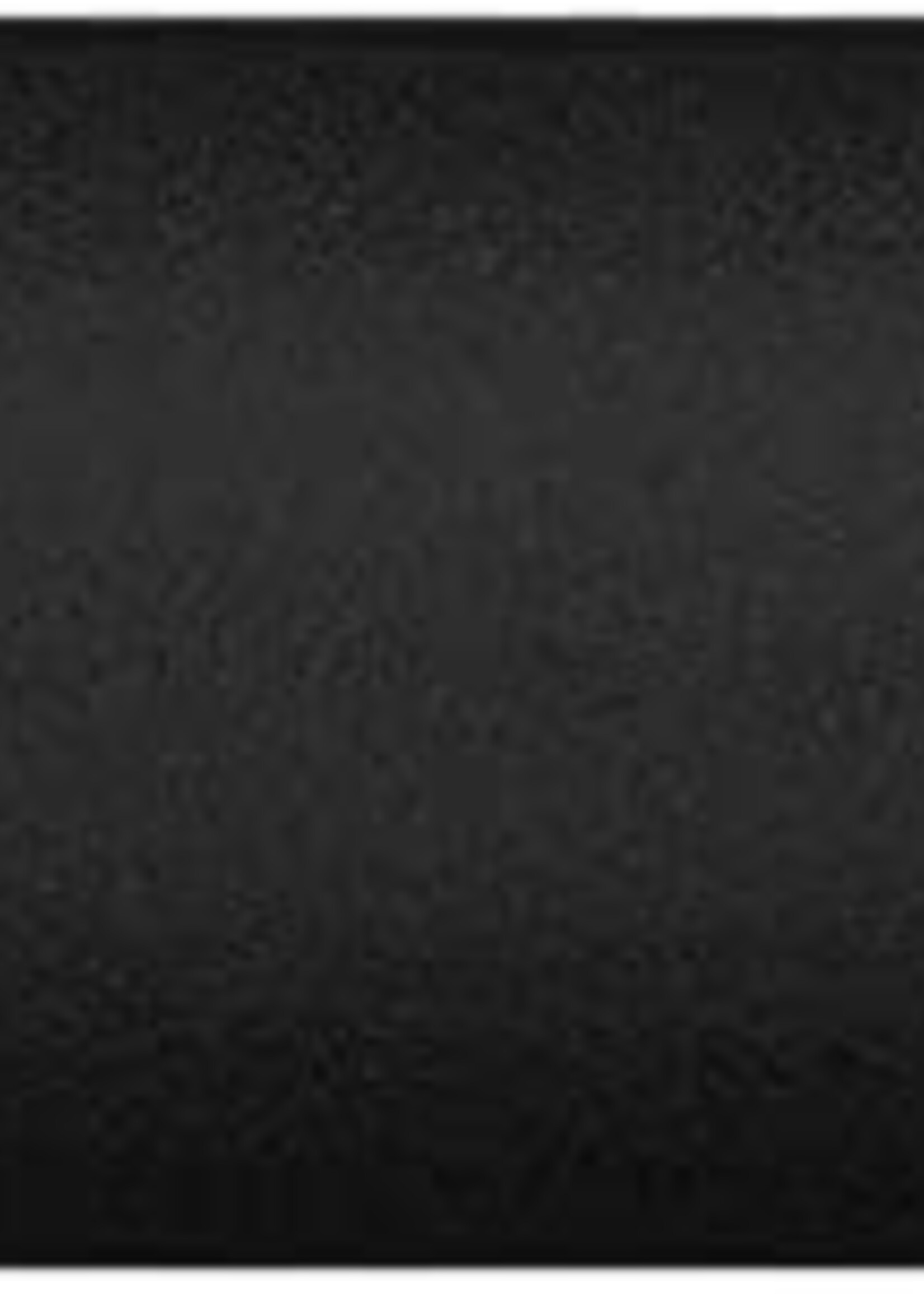 GRIPS ESI MTB CHUNKY SILICONE BK