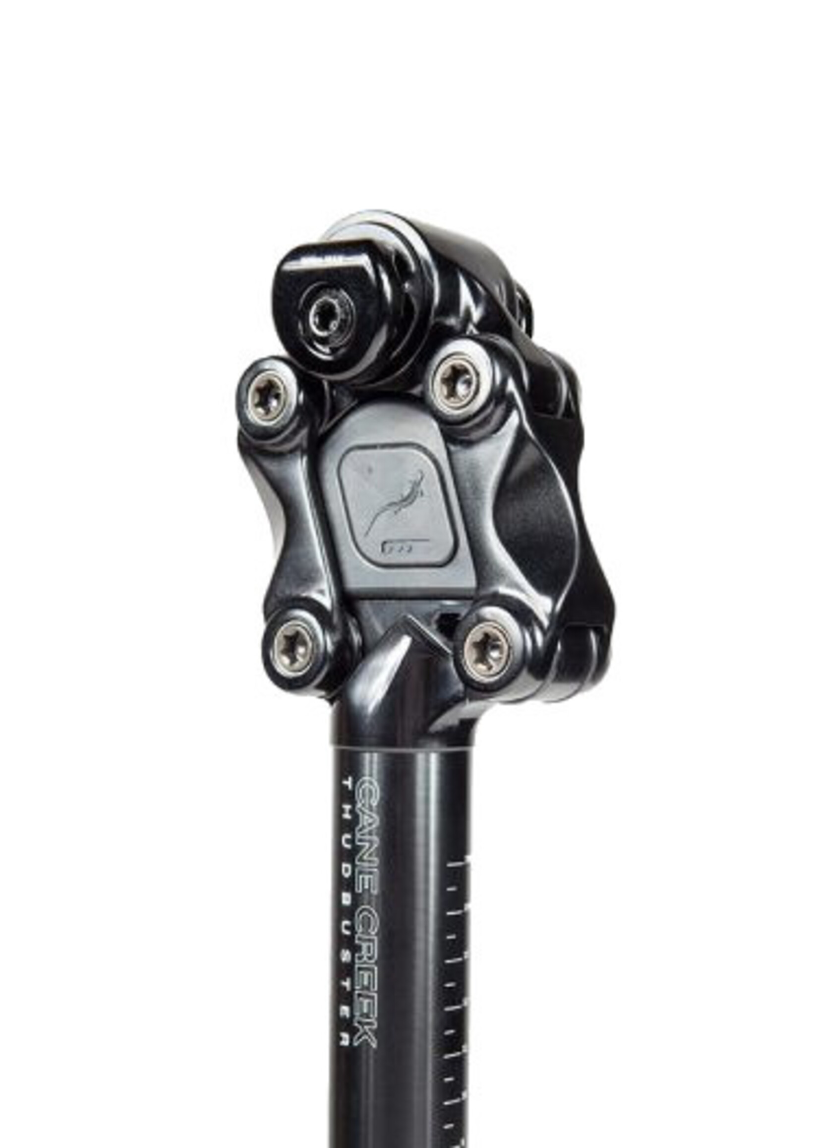 Cane Creek G4 Thudbuster-ST Seatpost, 30.9 x 375mm