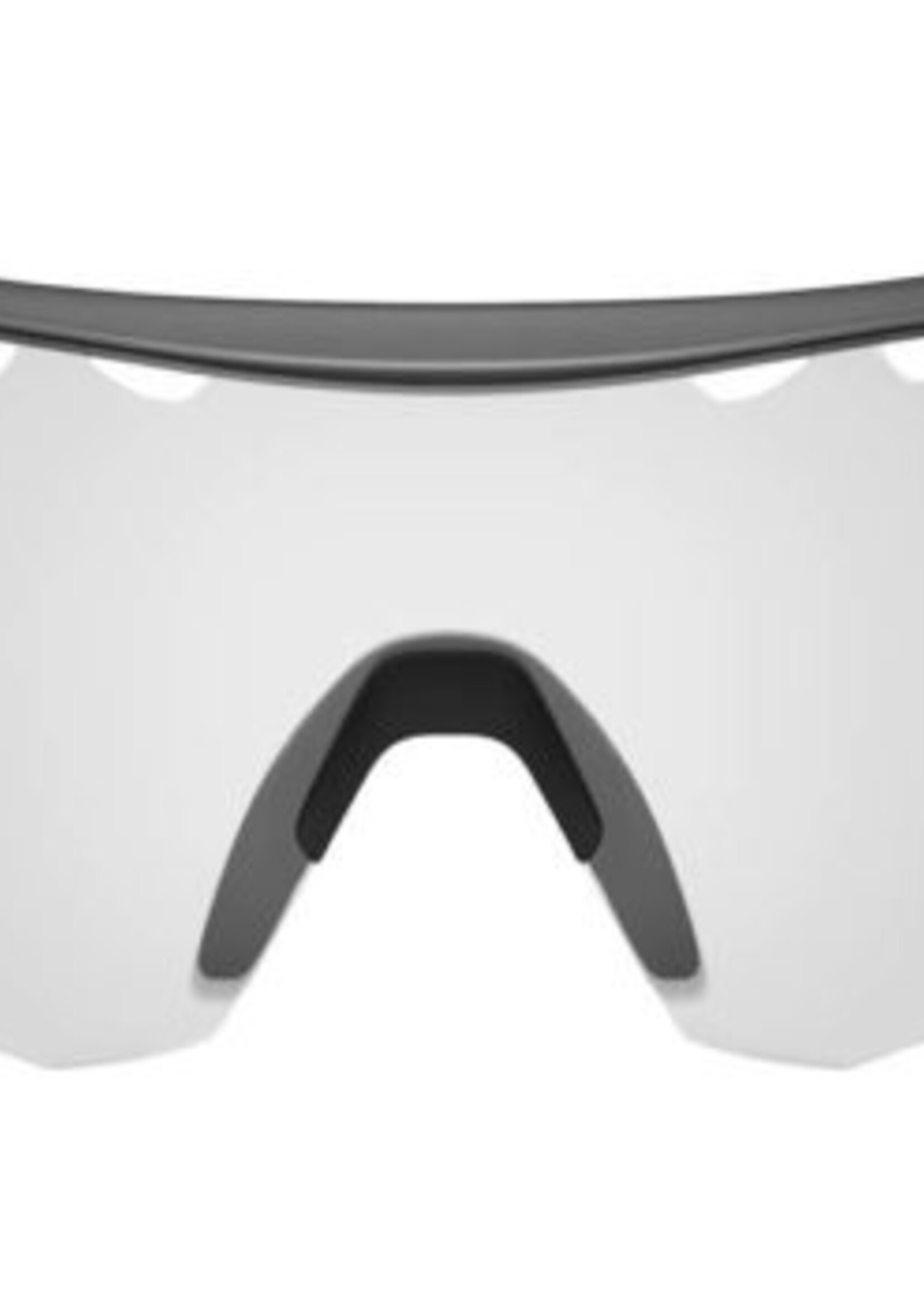 Tifosi Optics Alliant, Gunmetal Fototec Sunglasses