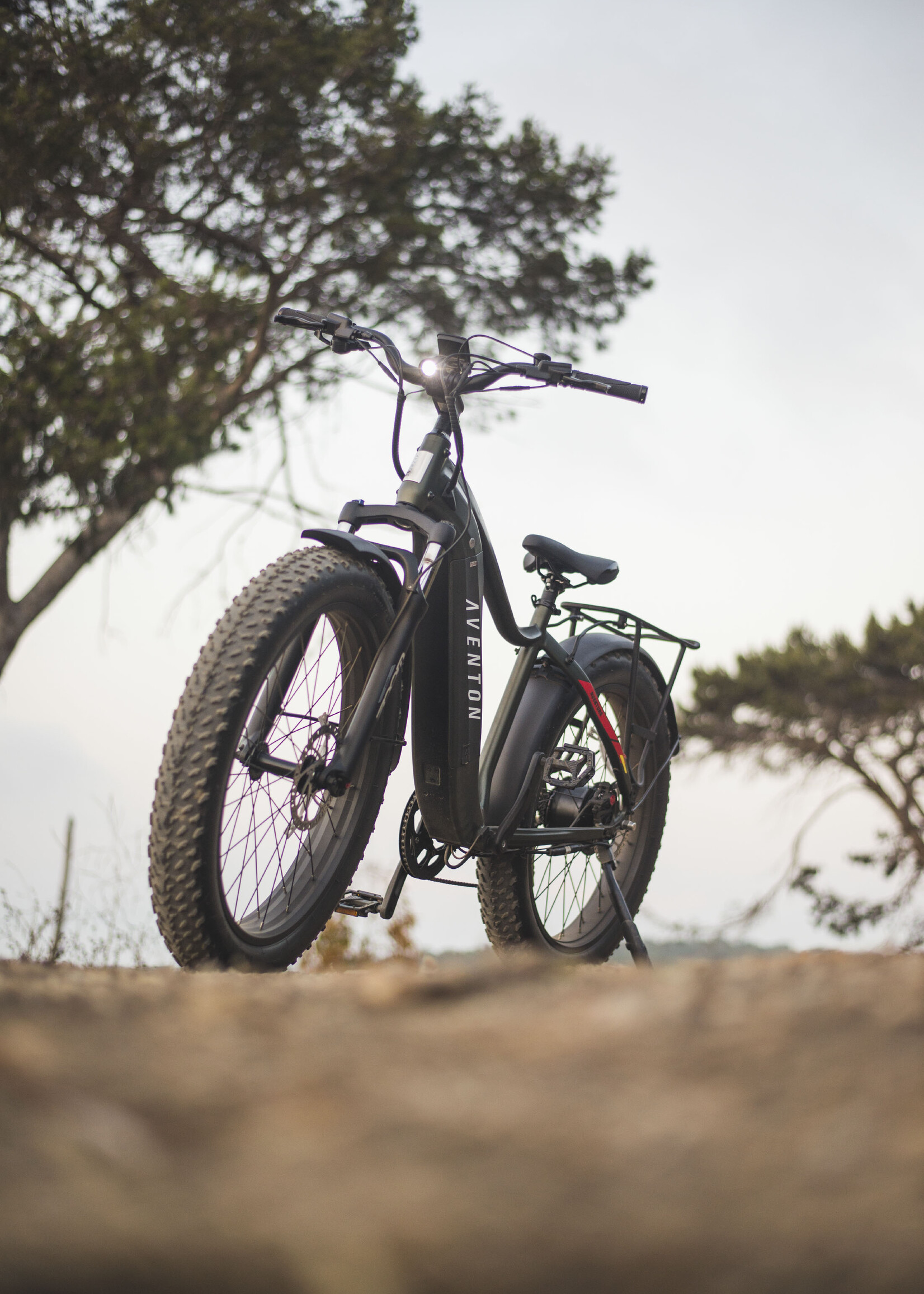 Aventon Aventure Camo Green Large