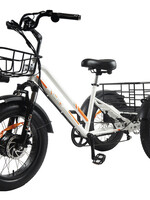 DW MEIGI FAT TIRE ELECTRIC TRICYCLE MG1703 WHITE