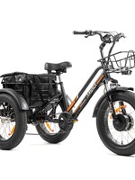 DW MEIGI FAT TIRE ELECTRIC TRICYCLE MG1703 BLACK