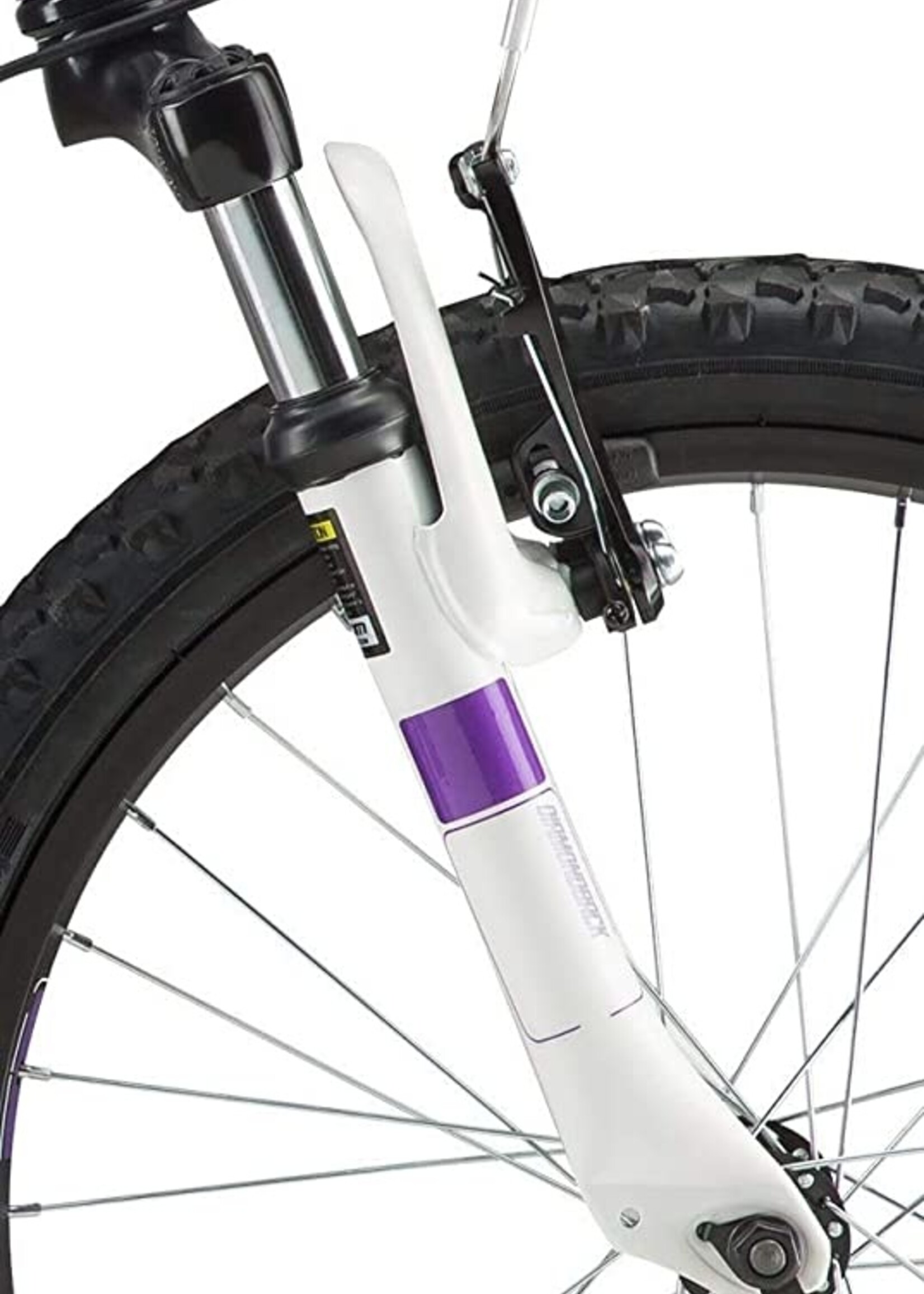 Diamondback LUSTRE 20 G20 PUR Complete Bicycle-Wheel Size-20