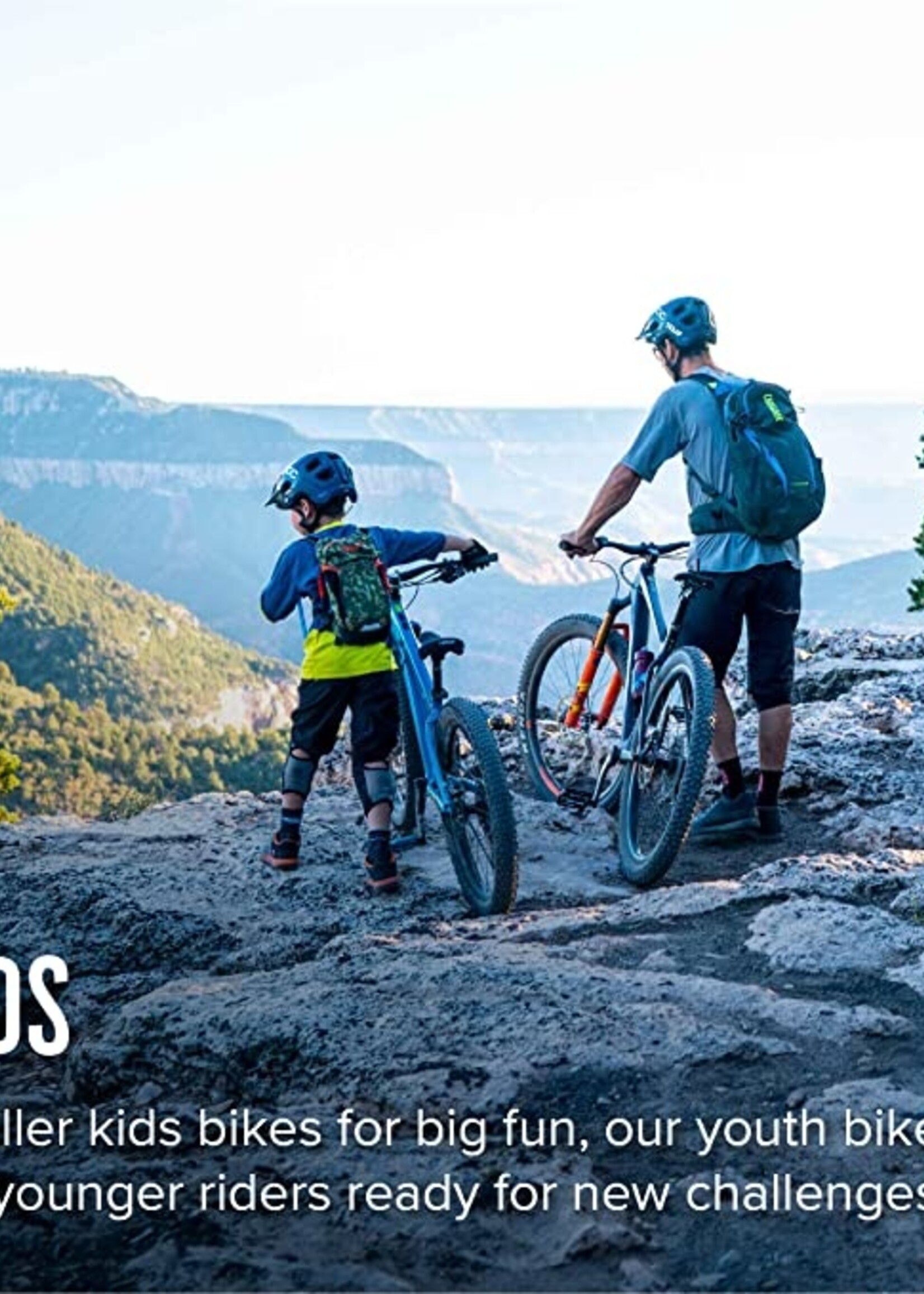 Diamondback LUSTRE 20 G20 PUR Complete Bicycle-Wheel Size-20