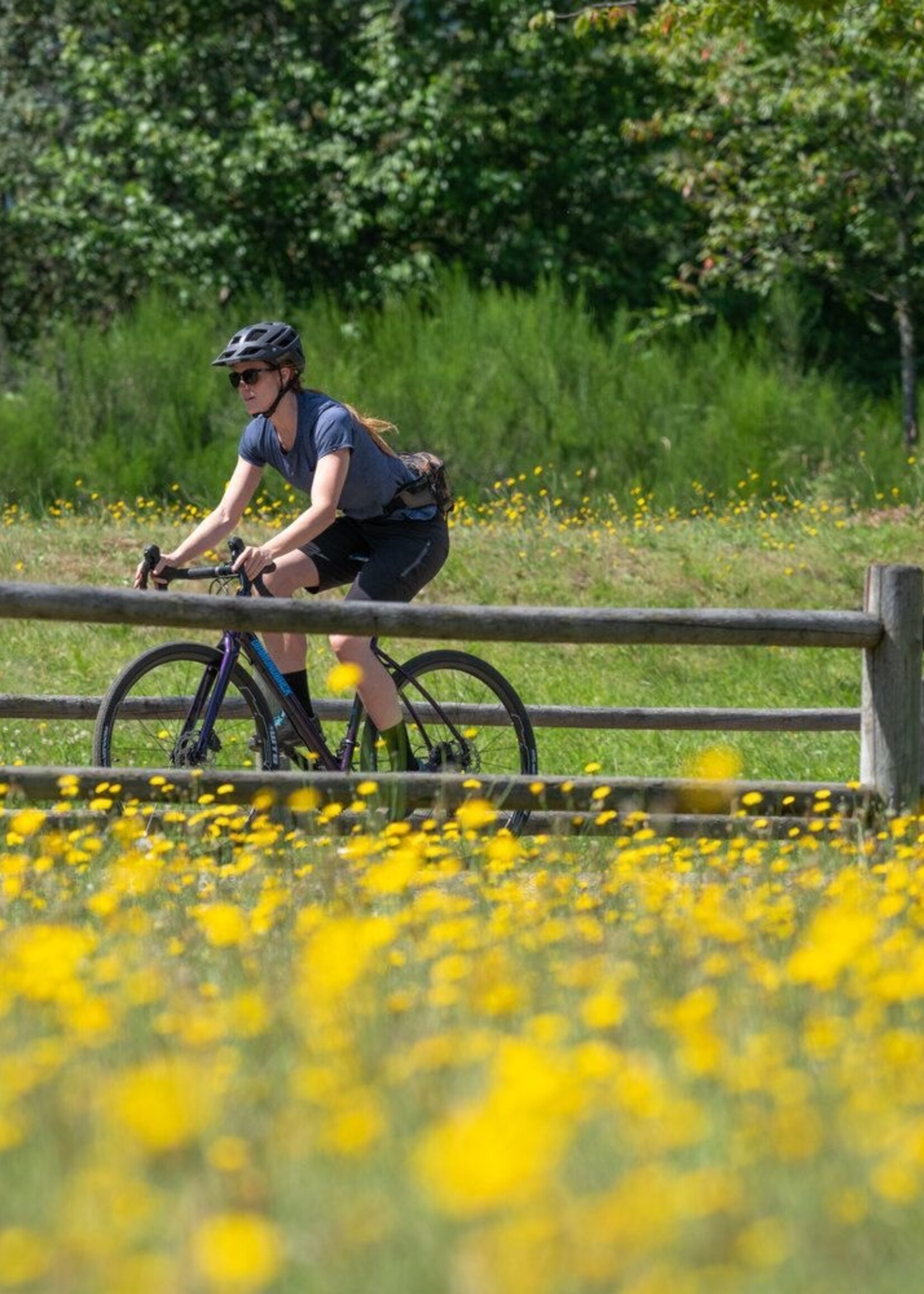 Diamondback Haanjo 5 SM/50CM Purple Gravel