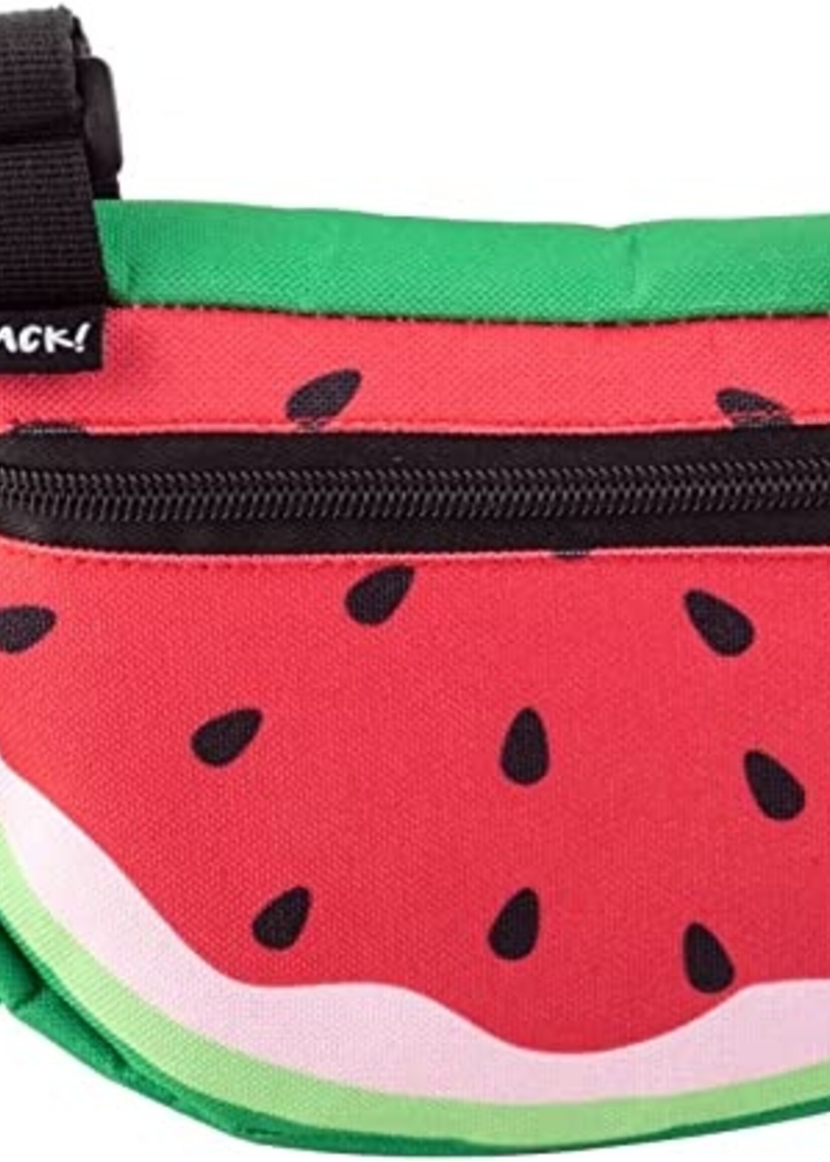 SNACK! BAG SNACK FRAME WATERMELON