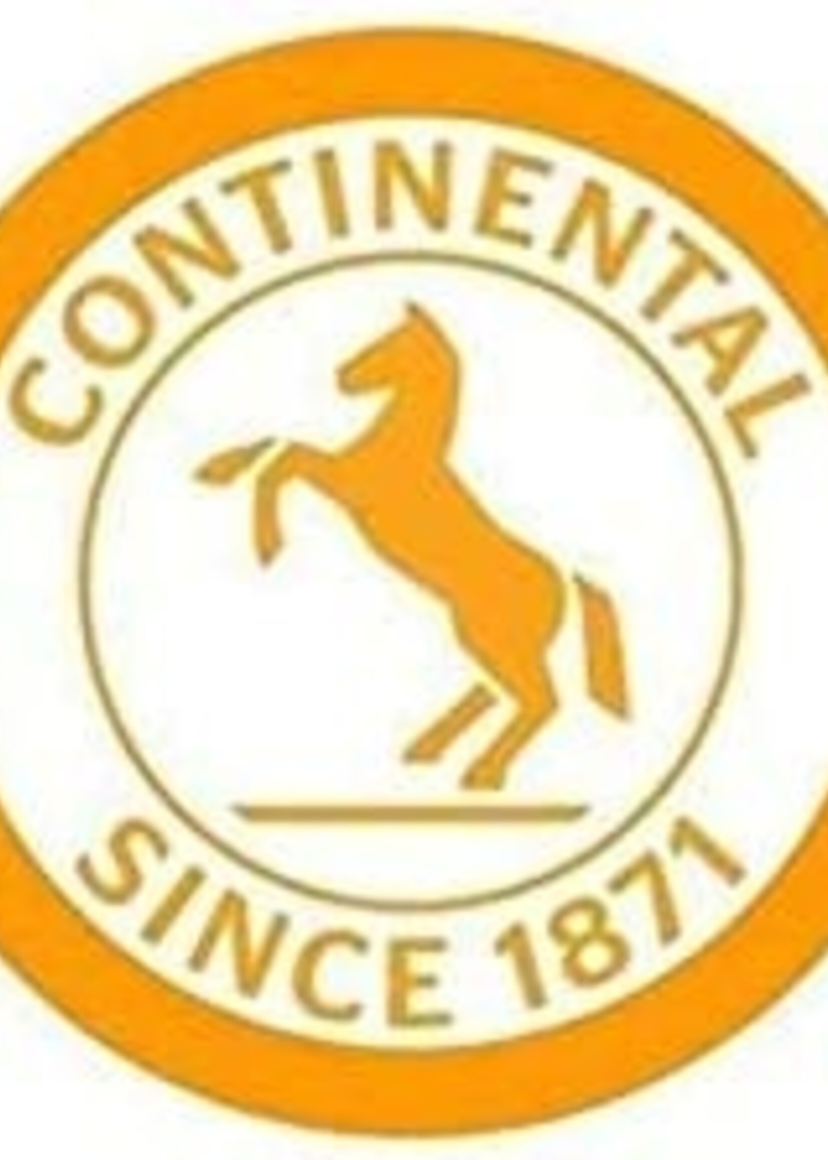 Continental Tube 700 x 32-47 (28in) - PV 42mm - 180g