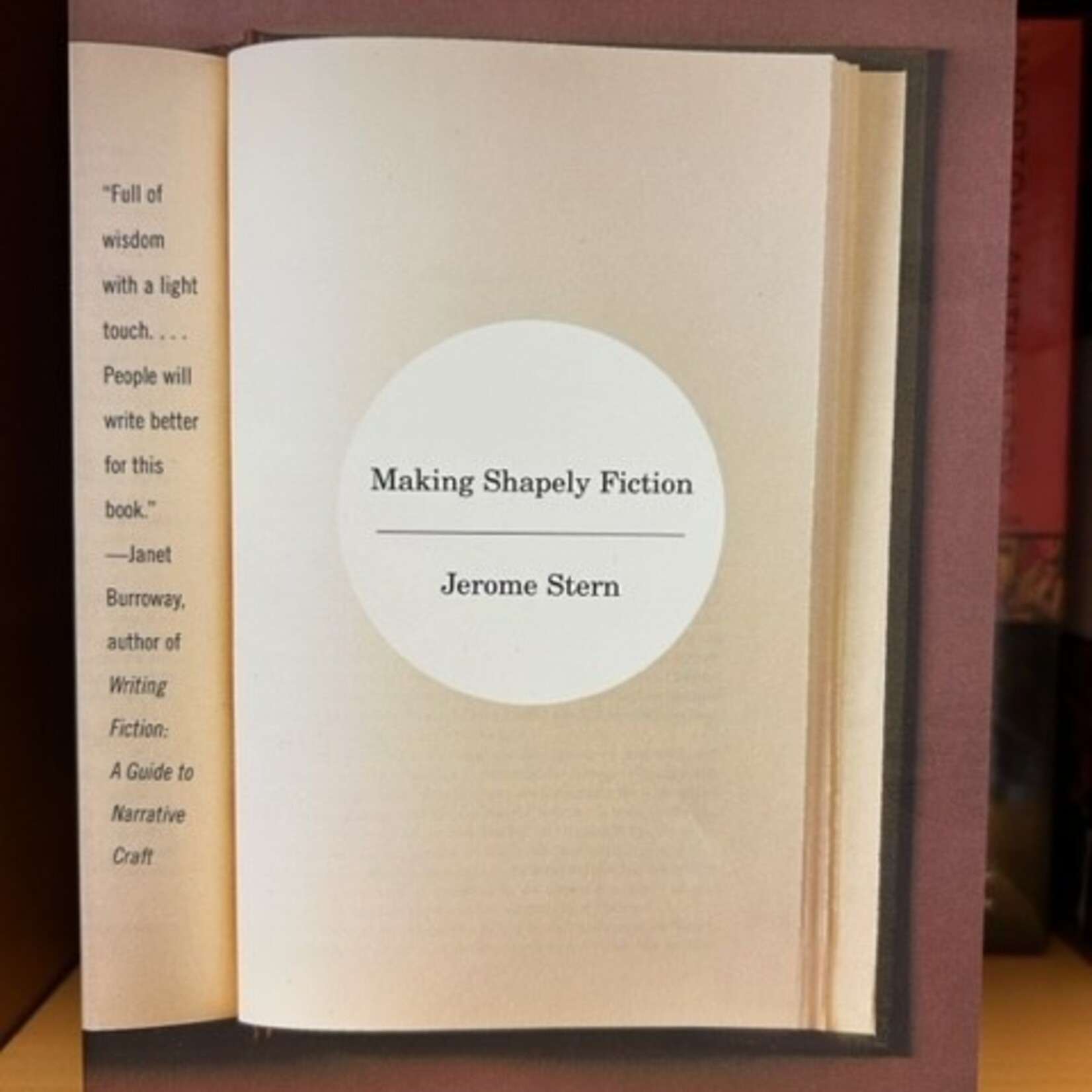 MAKING SHAPELY FICTION