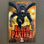Black Panther: Who is the Black Panther?