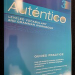 Autentico Level 3 Vocab and Grammar Workbook