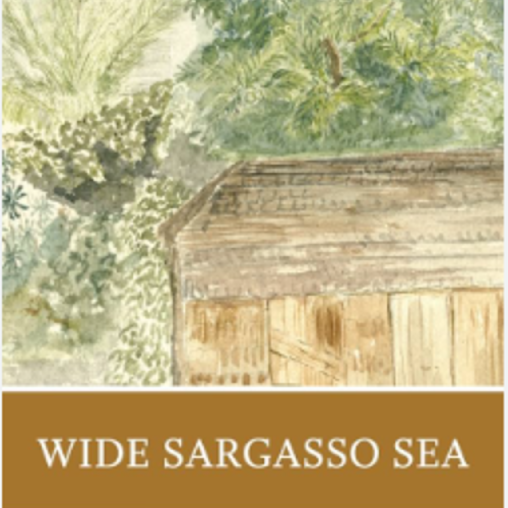 Wide Sargasso  Sea Norton Critical Edition, 1st edition