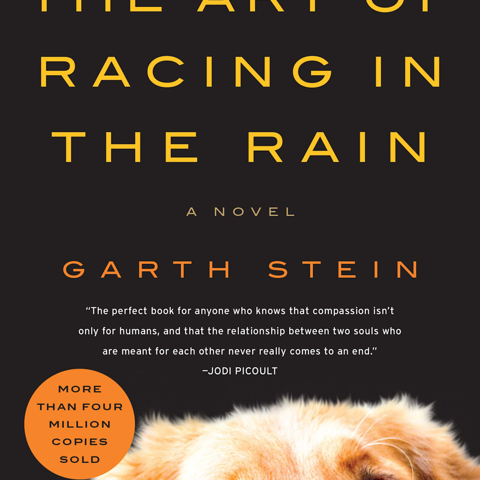 The Art of Racing in the Rain