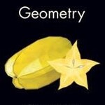 Pearson Geometry