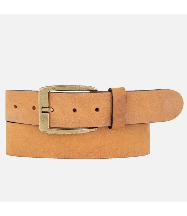 Robyn Gold Buckle Leather Belt