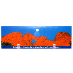 IMPACT COLORADO Panoramic Kissing Camels Magnet