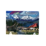 Sanborn Souvenir Co. Inc. Colorado Animals Foil Magnet