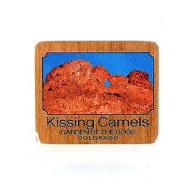 EDO PHOTOGRAPHER Kissing Camels Photo Magnet