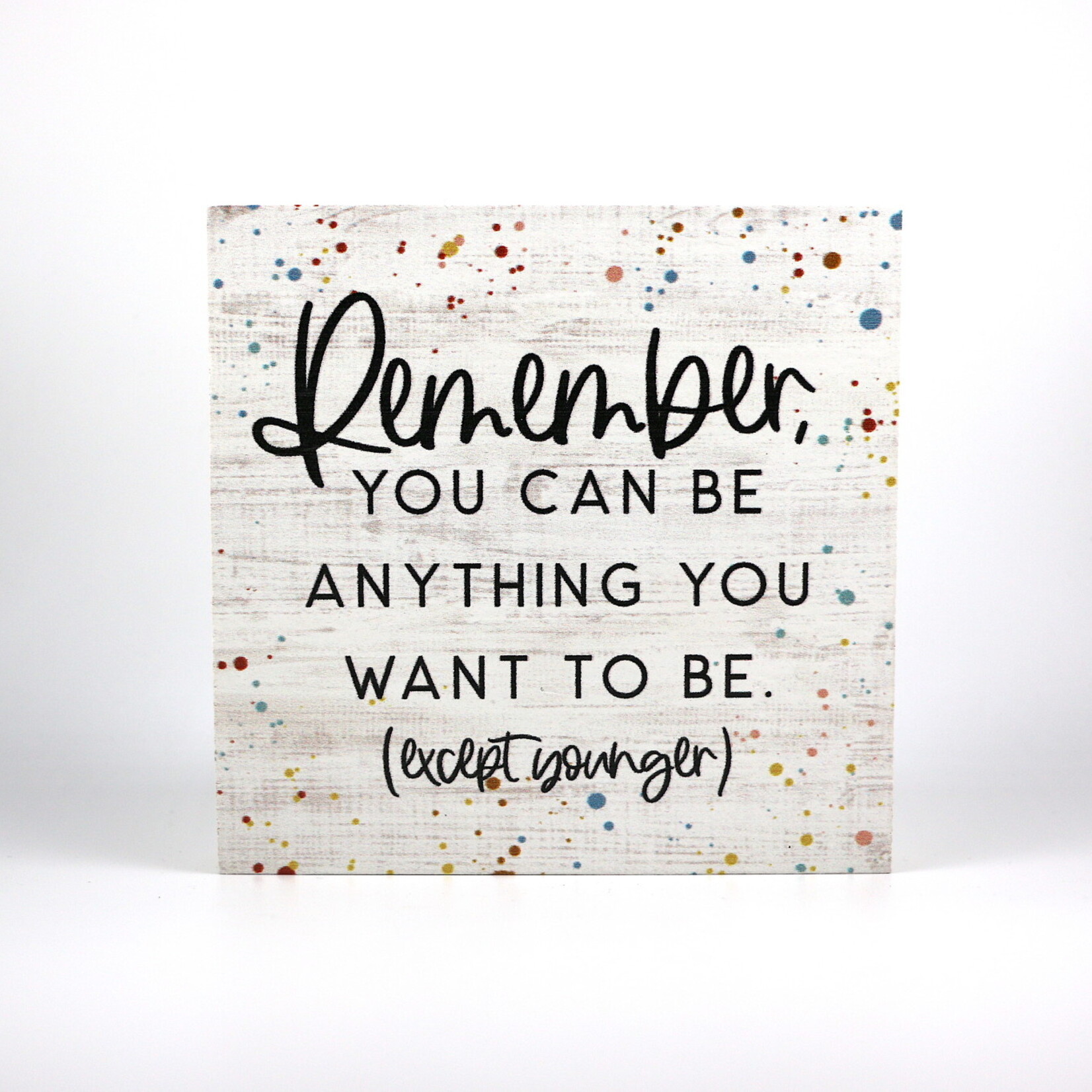 Sincere Surroundings Remember You Can be Anything Wall Plaque