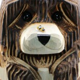 Rustic Woodworks BEAR IN HONEY POT BRWN 10"