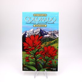 WILDFLOWER COMPANY Seed Packet/Postcard - Indian Paintbrush