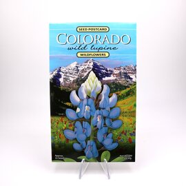 WILDFLOWER COMPANY Seed Packet/Postcard - Wild Lupine