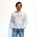 WORLDWIDE SPORTSWEAR Silver Athletic Salt & Pepper Crew